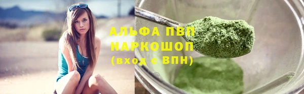 спайс Вяземский