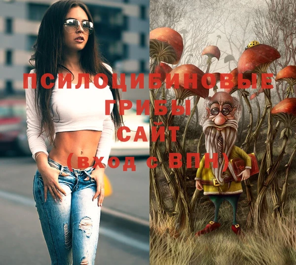 спайс Вяземский