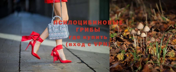 спайс Вяземский